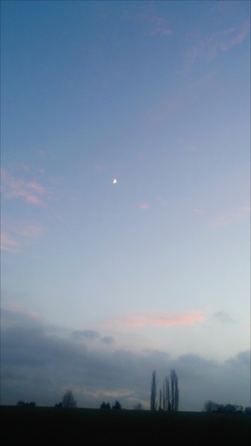2017-01-13-04-37-21-1